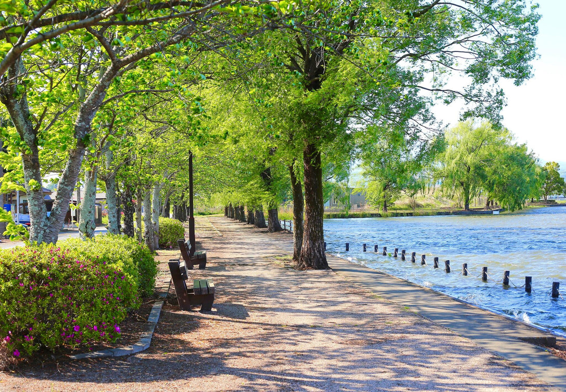 Top or Best Postcard Design Agencies and Companies in Prattville, Alabama