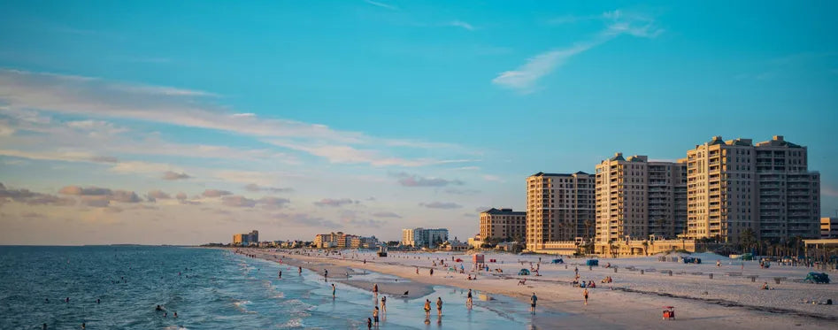 Top or Best Social Media Design Agencies and Companies in Clearwater, Florida