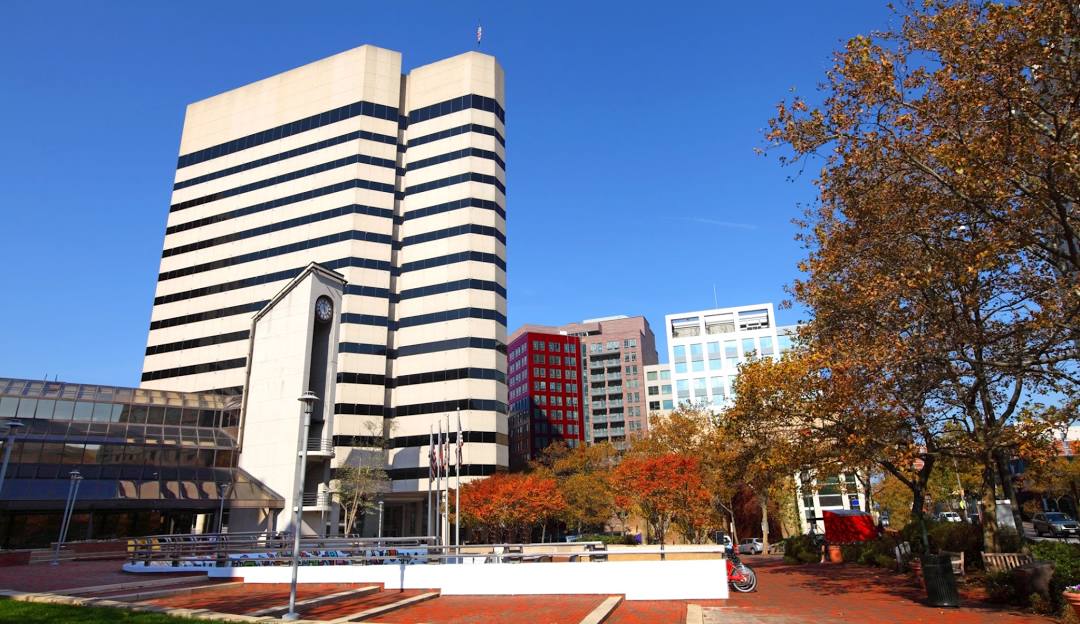 Top or Best Stationery Design Agencies and Companies in Bethesda, Maryland