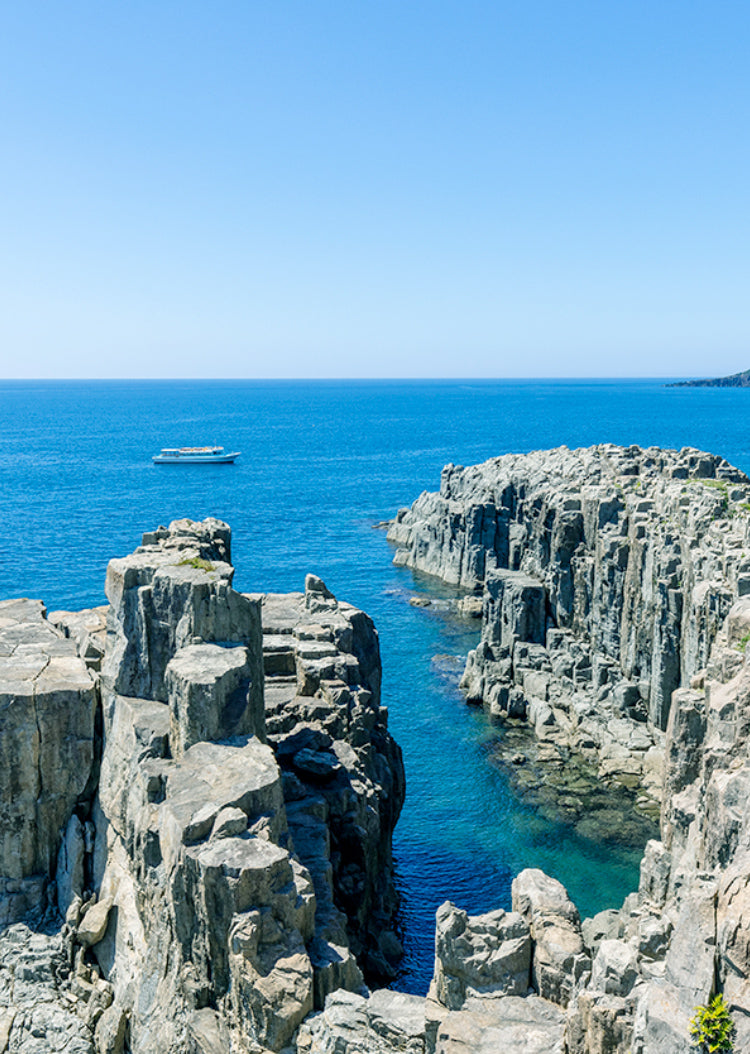 Top or Best Flyer Design Agencies and Companies in Sakai, Japan