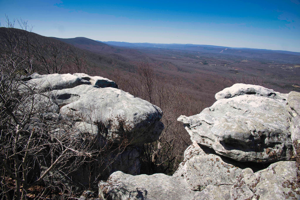 Top or Best Postcard Design Agencies and Companies in Teays Valley, West Virginia