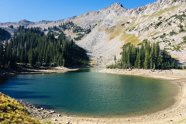 Top and Best Web & Mobile Design Agencies and Companies in Salt Lake City, Utah