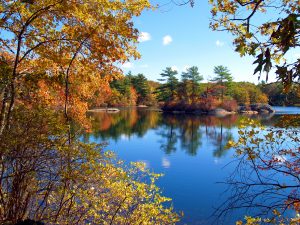 Top or Best NFT Art Agencies and Companies in Wausau, Wisconsin