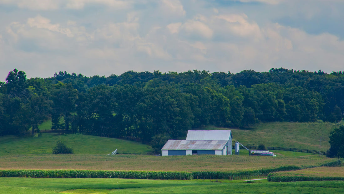 Top and Best Logo Animation Agencies and Companies in Middletown, New Jersey