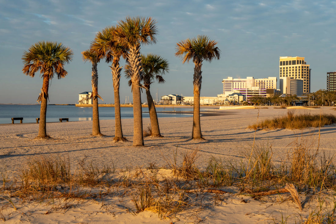Top or Best Graphic Design Subscription Agencies and Companies in Biloxi, Mississippi