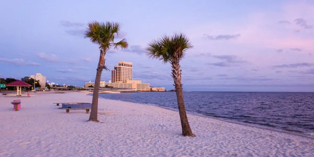 Top or Best Infographic Design Agencies and Companies in Biloxi, Mississippi