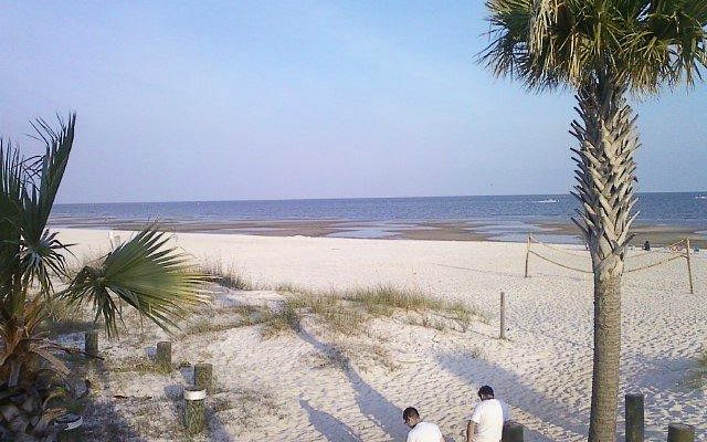 Top or Best X (Twitter) Management Agencies and Companies in Biloxi, Mississippi