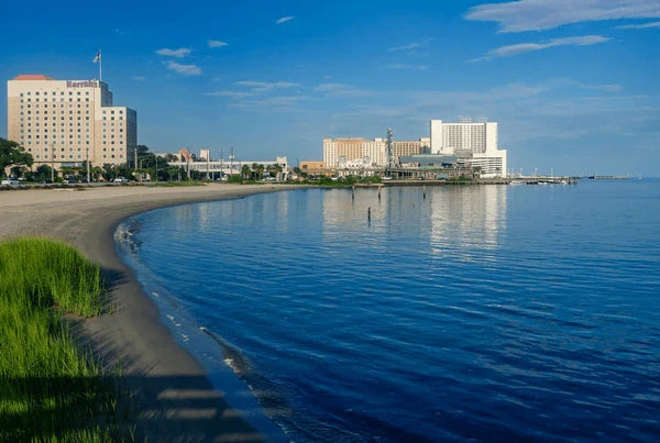 Top or Best Graphic Design Agencies and Companies in Biloxi, Mississippi