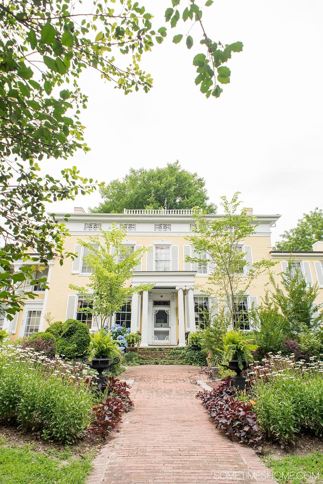 Top Brand Identity Package Agencies and Companies in Milford, Delaware