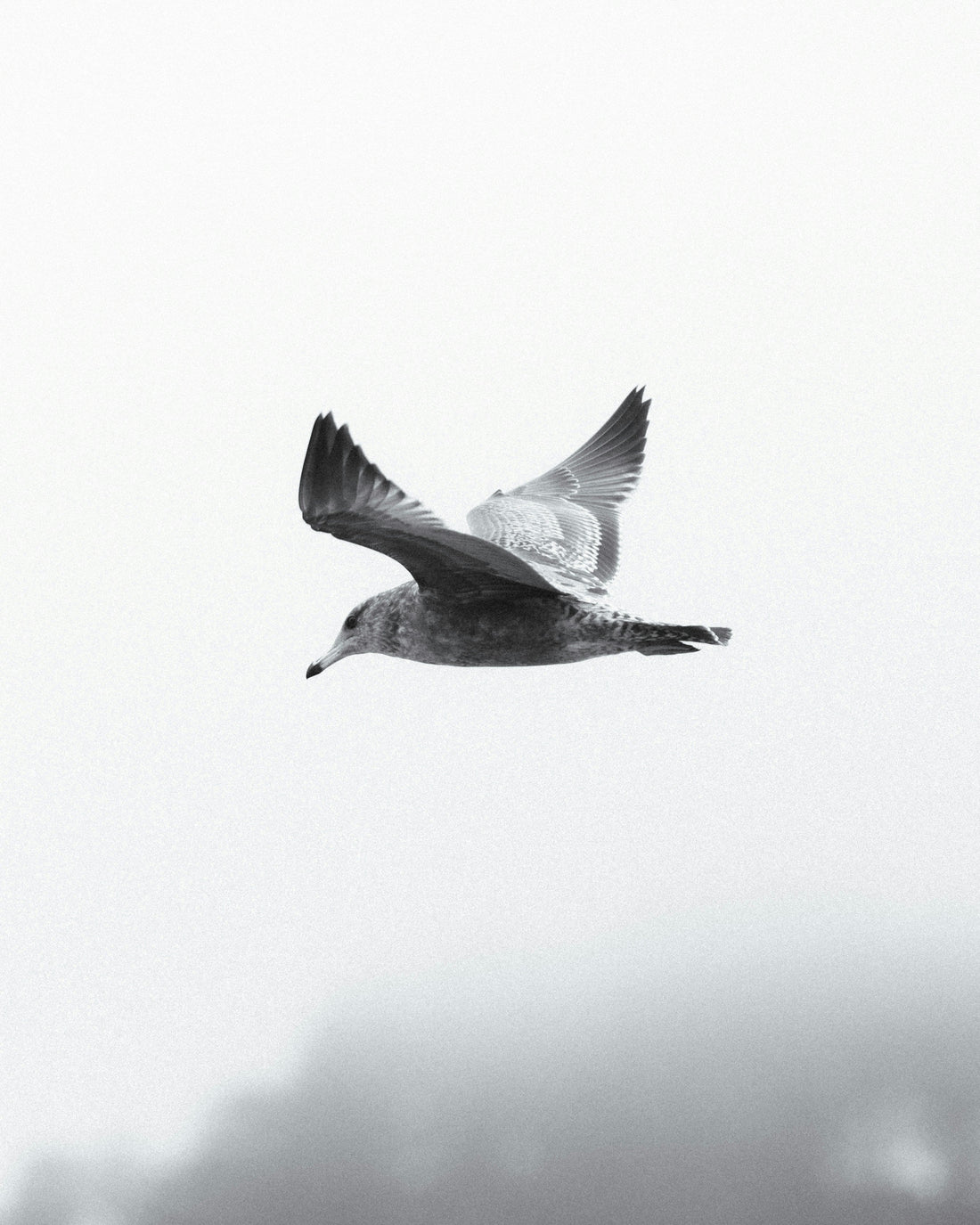 Top or Best Drawing and Illustration Agencies and Companies in Springfield, Oregon