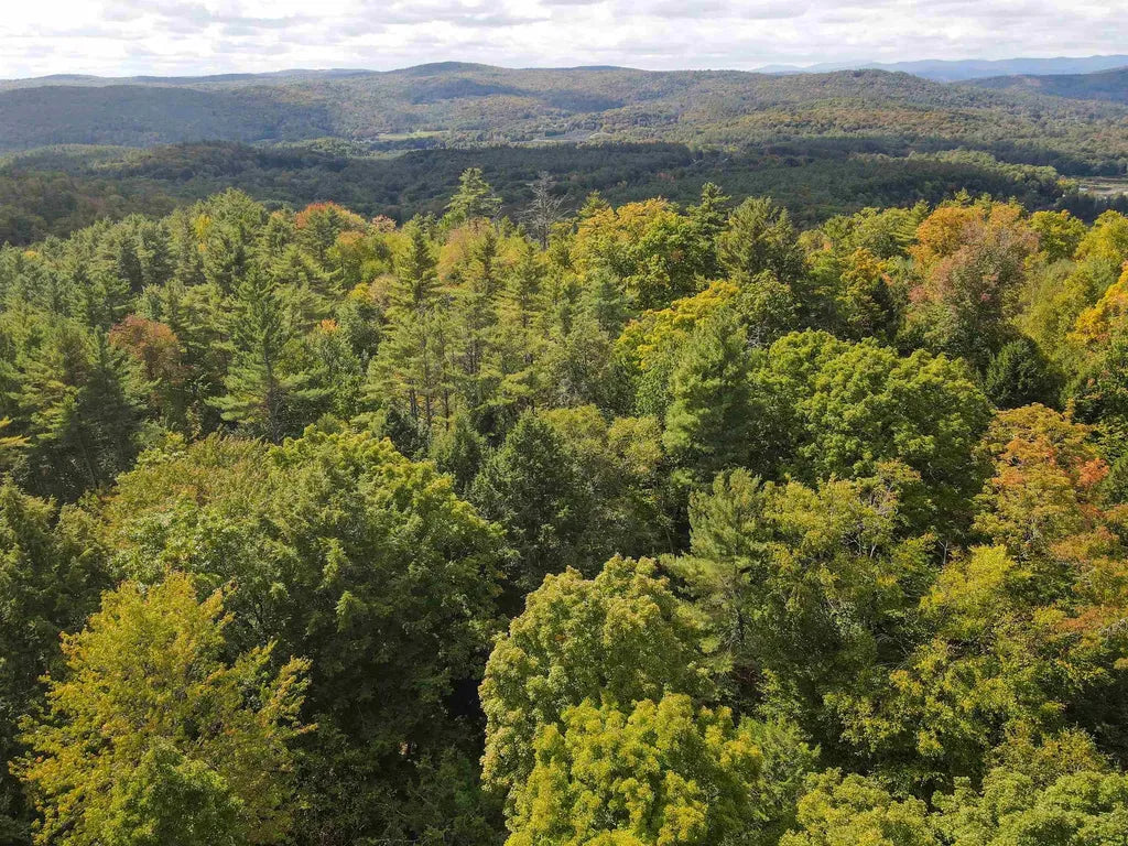 Top or Best X (Twitter) Management Agencies and Companies in Hartford, Vermont