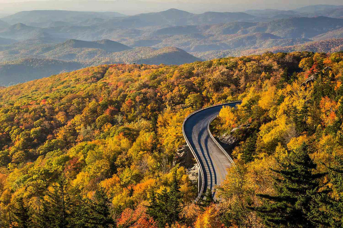 Top or Best Presentation Design Agencies and Companies in Asheville, North Carolina