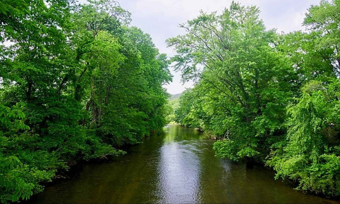 Top or Best Menu Design Agencies and Companies in Bluffton, South Carolina