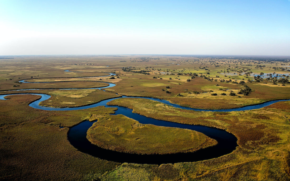 Top or Best Athlete Management Agencies and Companies in Botswana