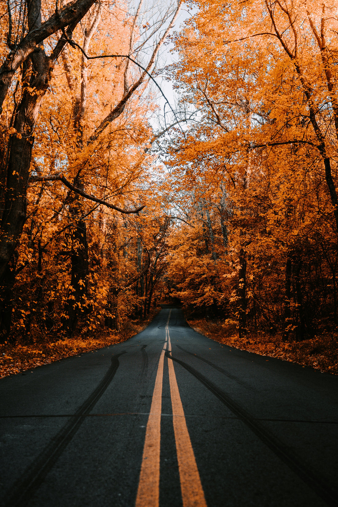 Top and Best Photo Editing Agencies and Companies in Oshkosh, Wisconsin