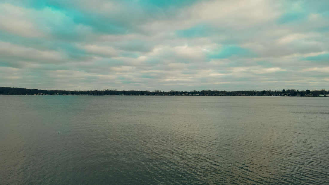 Top or Best Storyboard Agencies and Companies in Horn Lake, Mississippi
