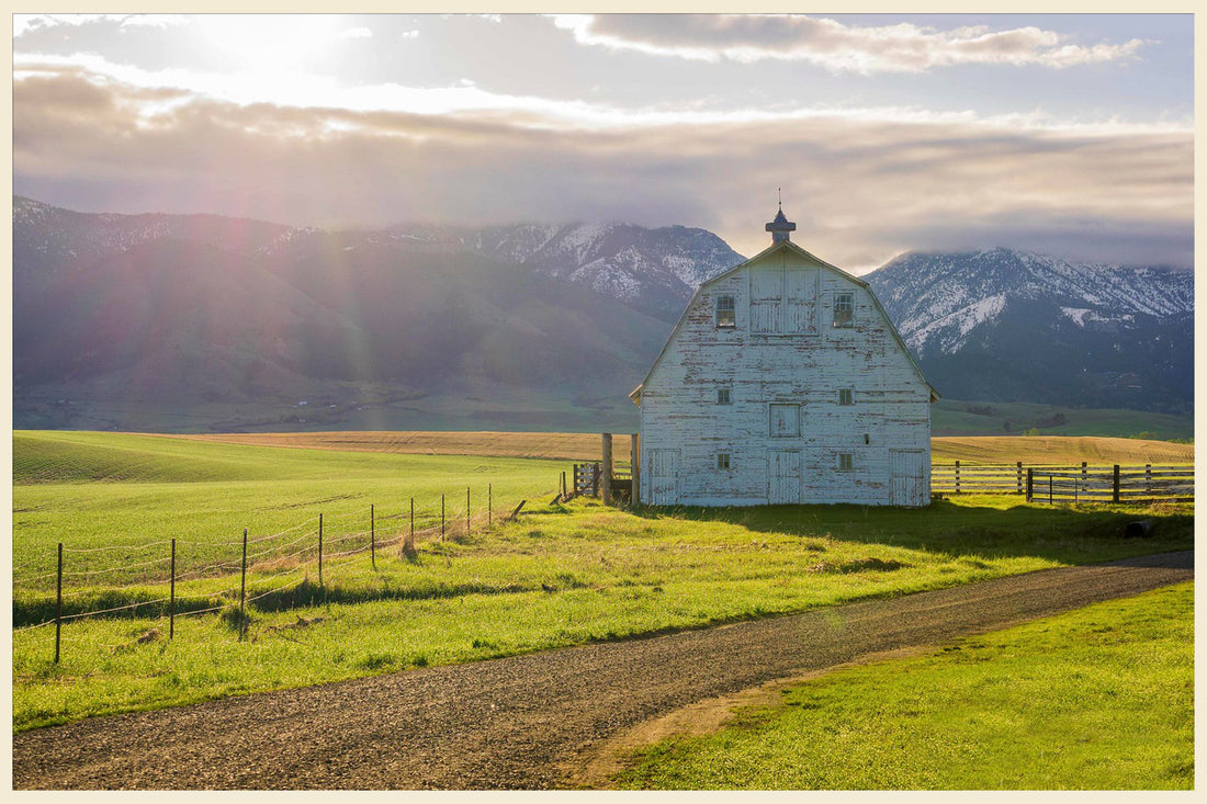 Top or Best Website Design Agencies and Companies in Belgrade, Montana