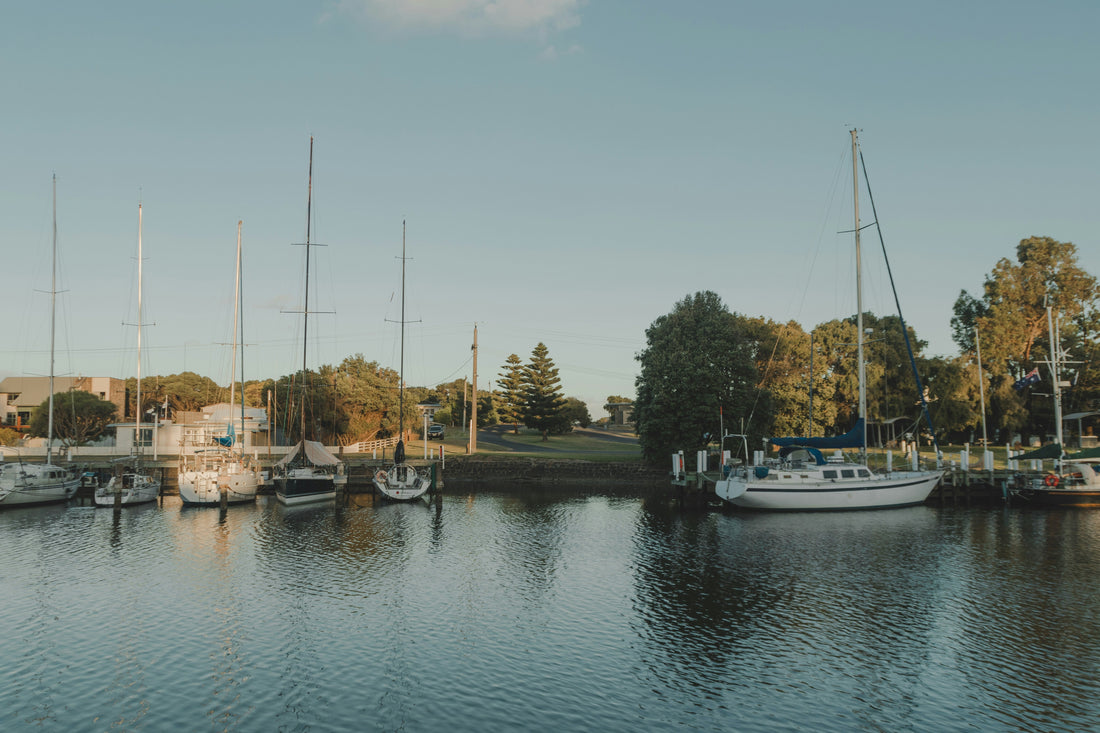 Top and Best Social Media Management Agencies and Companies in Suffolk, Virginia