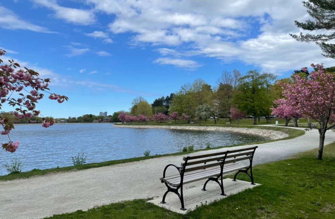 Top or Best Graphics for Streamers Agencies and Companies in Brookline, Massachusetts