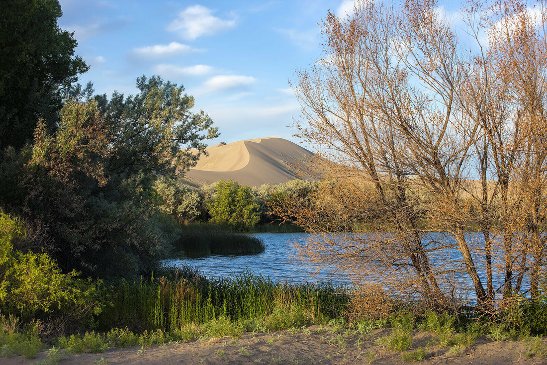 Leading Drawing and Illustration Agencies and Companies in Mountain Home, Idaho