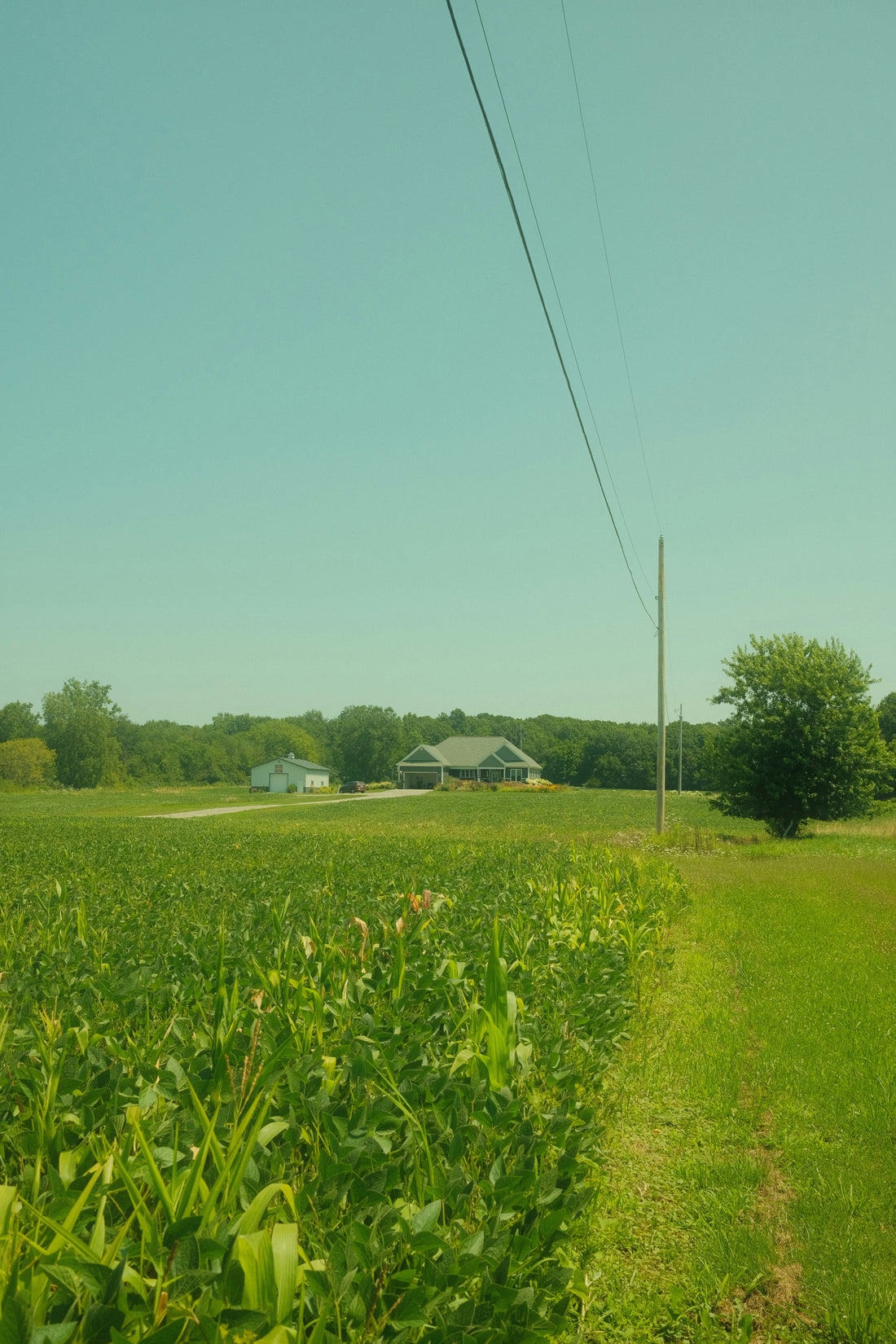 Top and Best Social Media Design Agencies and Companies in Franklin Township, New Jersey