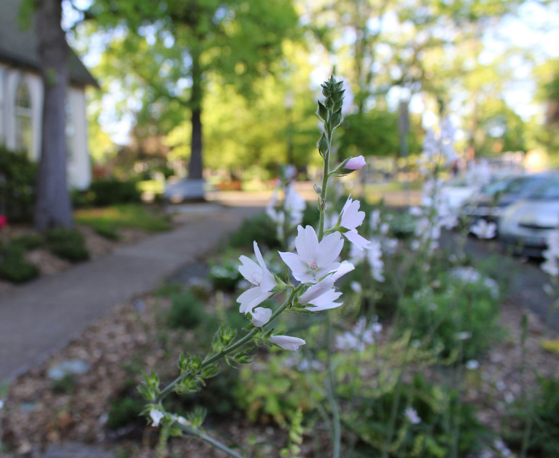 Top and Best AR Filters and Lenses Agencies and Companies in Corvallis, Oregon