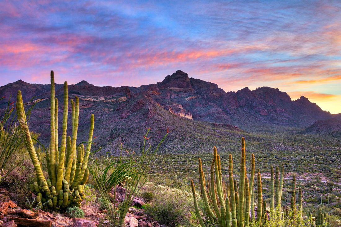 Top or Best Banner Ads Agencies and Companies in Buckeye, Arizona