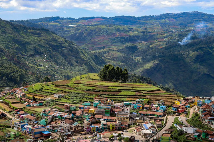 Top or Best Brochure Design Agencies and Companies in Vadodara, India