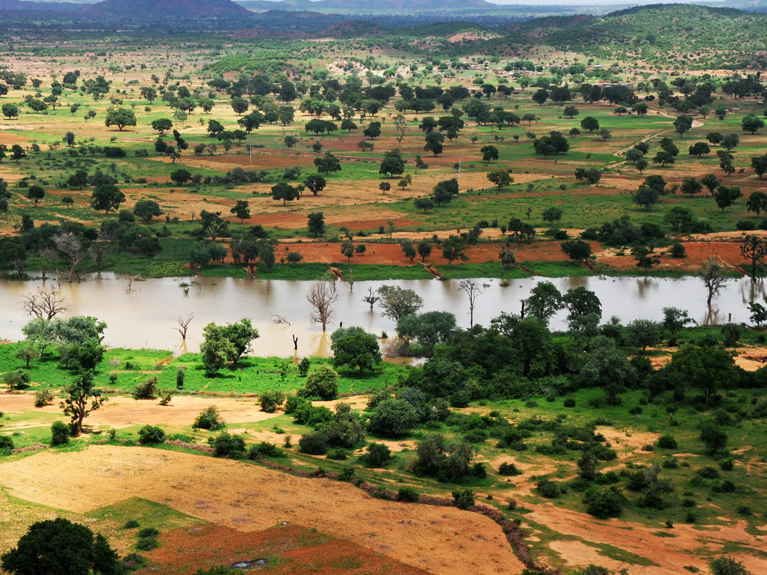 Best X (Twitter) Management Companies in Burkina Faso