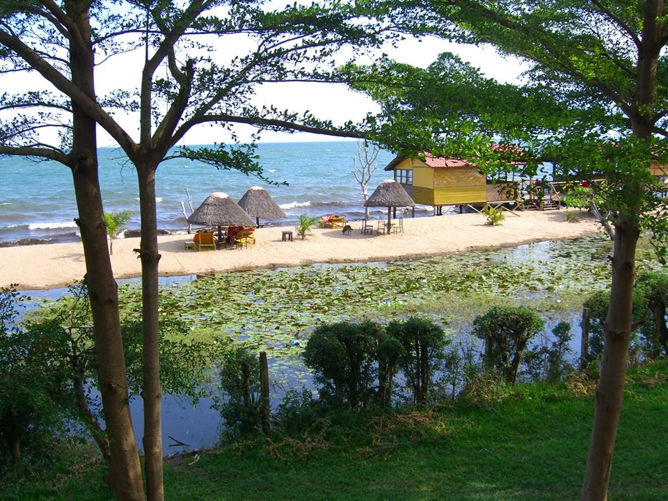 Best X (Twitter) Management Companies in Burundi