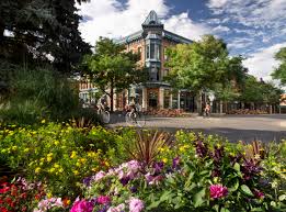 Top or Best Brand Identity Package Agencies and Companies in Fort Collins, Colorado
