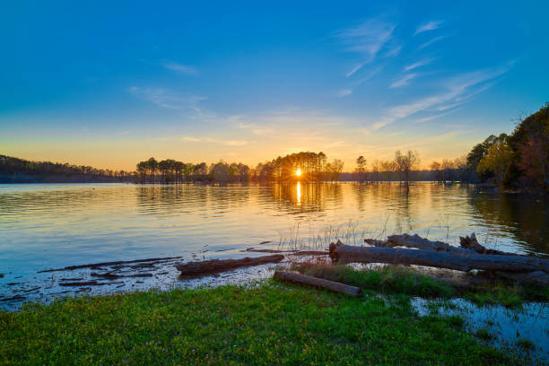 Top or Best AR Filters & Lenses Design Agencies and Companies in Cabot, Arkansas