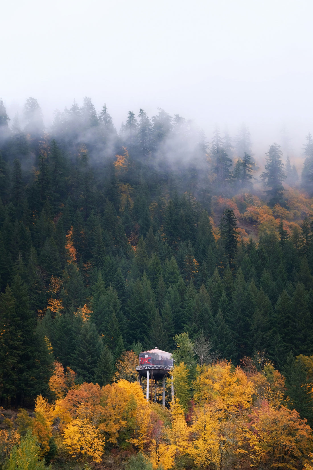 Top and Best Mural Design Agencies and Companies in Bend, Oregon