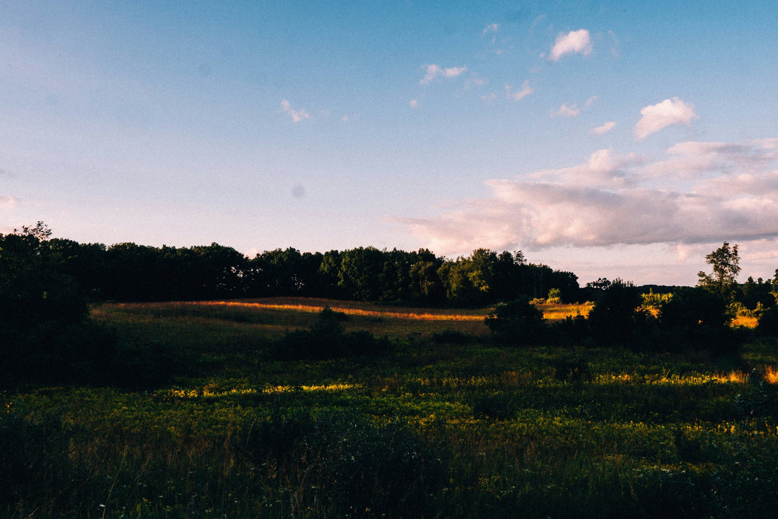 Top or Best Website Design Agencies and Companies in Emporia, Kansas