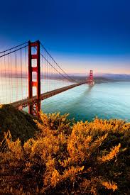Best X (Twitter) Management Companies in California