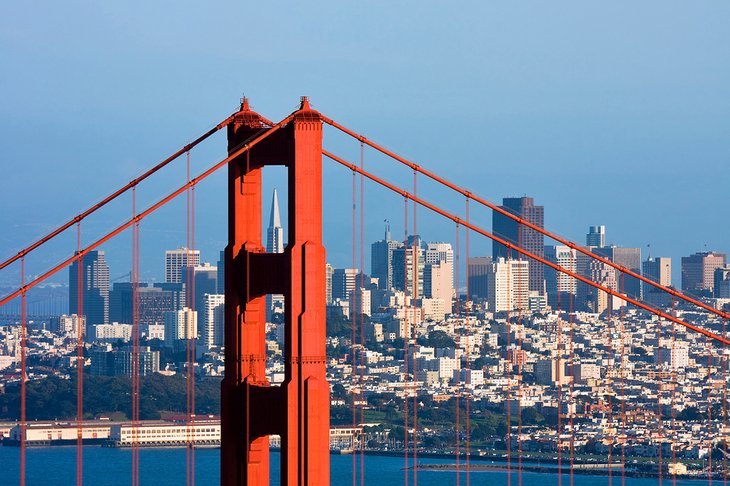 Top or Best Athlete Management Agencies and Companies in California