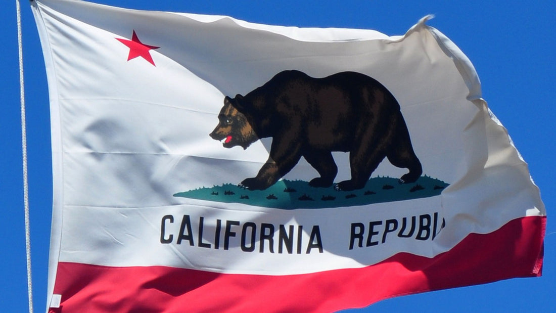 Best AR Filters & Lenses Design Companies in California