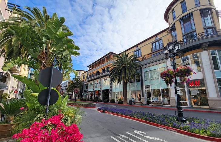Top or Best Talent Management Agencies and Companies in Fremont, California