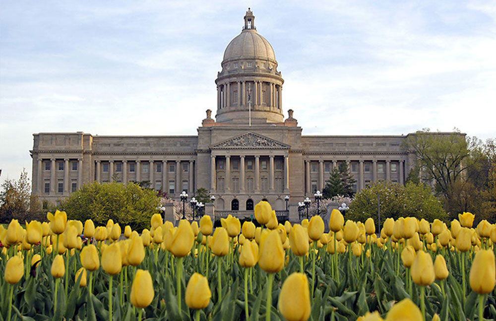 Top or Best Social Media Design Agencies and Companies in Frankfort, Kentucky