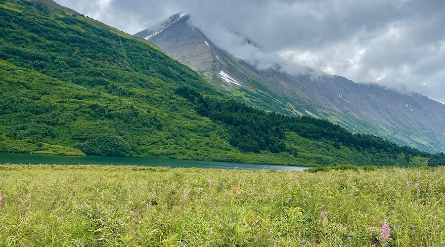 Top or Best Cartoons & Comics Agencies and Companies in Meadow Lakes, Alaska