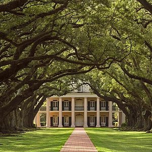 Top or Best Website Design Agencies and Companies in Houma, Louisiana