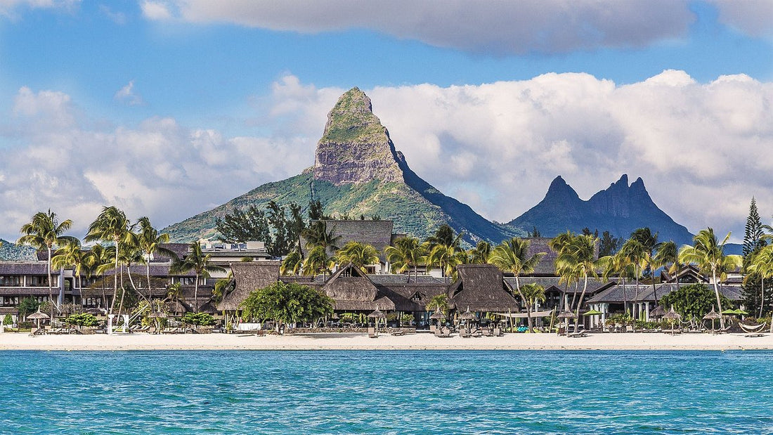 Top or Best Talent Management Agencies and Companies in Mauritius
