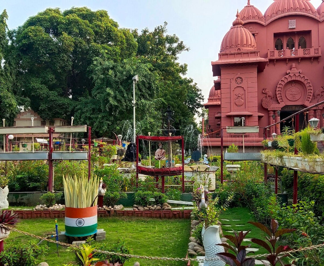 Top or Best Athlete Agencies and Companies in Rajkot, India