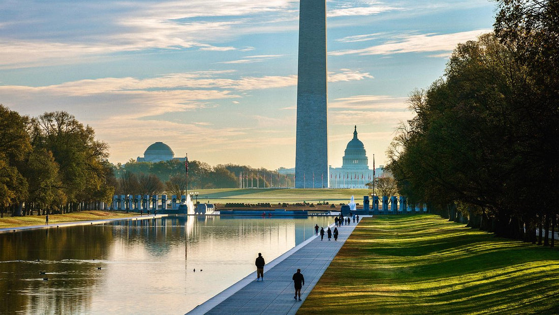 Top Cartoons & Comics Agencies in Washington
