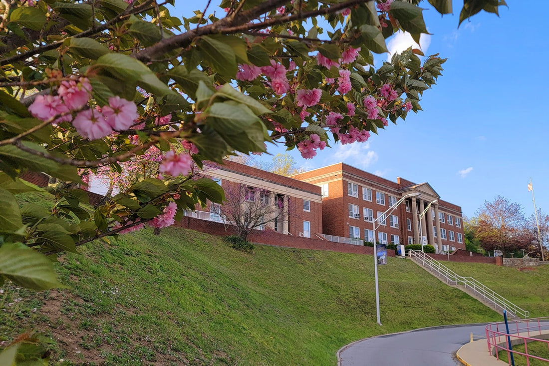 Top or Best Banner Ads Agencies and Companies in Bluefield, West Virginia