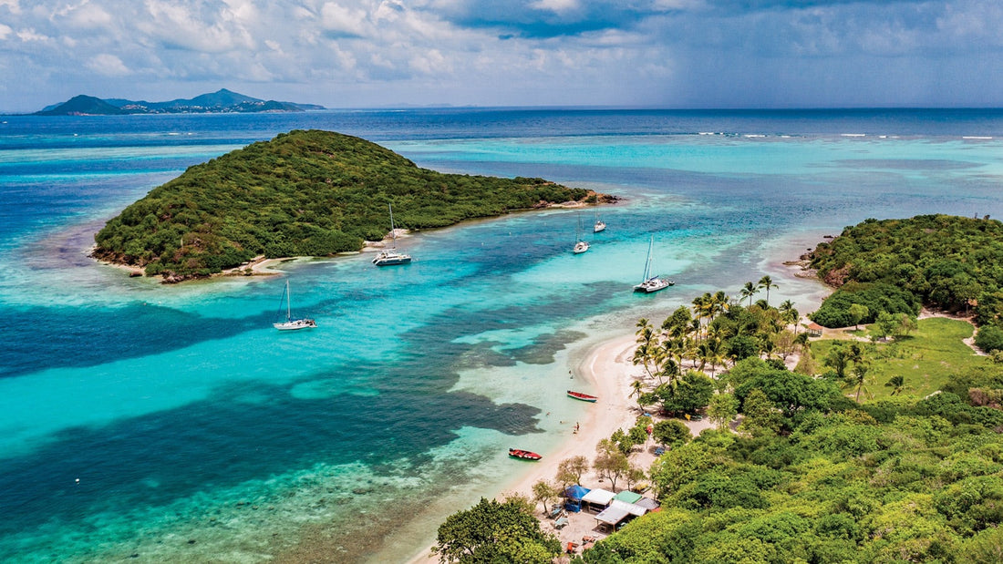 Top or Best Influencer Agency for Martiniquan Brands