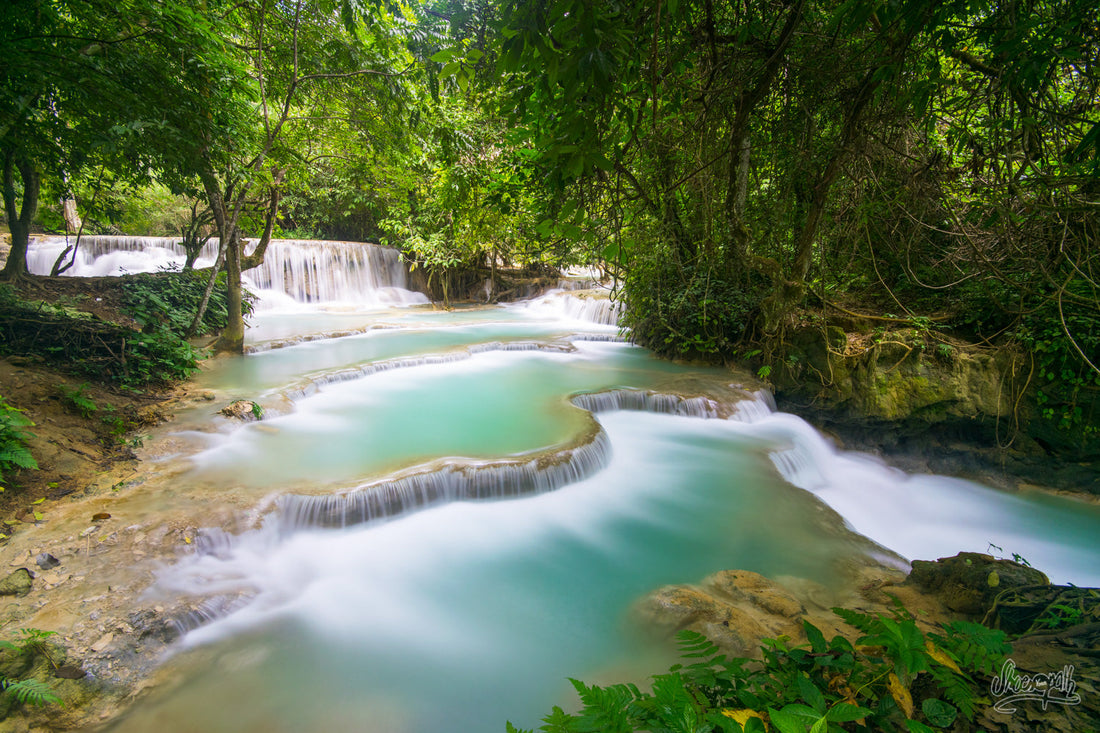 Top or Best Athlete Management Agencies and Companies in Laos