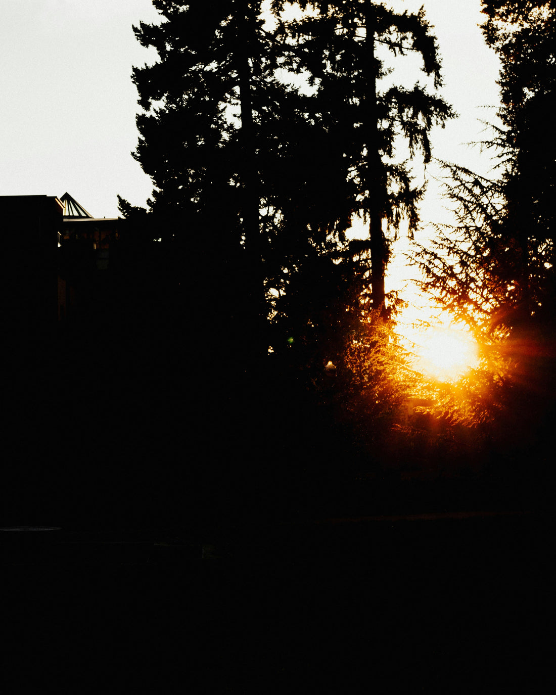 Top and Best Video Editing Agencies and Companies in Eugene, Oregon