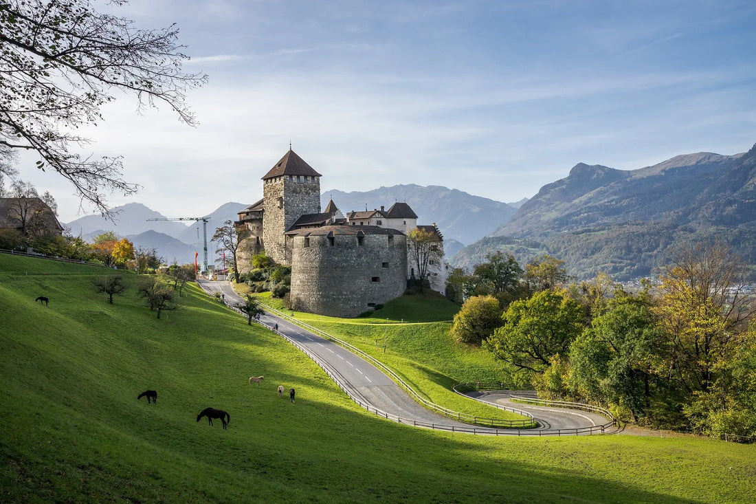 Best TikTok Management Companies in Liechtenstein