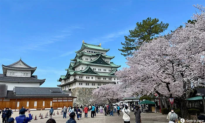 Top or Best Postcard Design Agencies and Companies in Nagoya, Japan